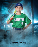 MINORS_YARDGOATS_Houston_Rhyder_SF111304_DUGOUT