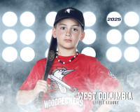 JR MINOR WOODPECKERS_Thomas_Hudson_WC010982_LIT_