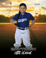 M3_ Dodgers_Reyna_Reynaldo_BAY13538_SUNSHINE