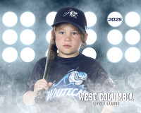 JR MINOR WHITECAPS_Peavler_Owen_WC010503_LIT_