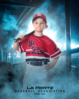 4U_Foal_Cardinals_Gamblin_Palmer_LP022820_DUGOUT