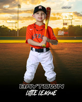 M3_ Astros_Benavides_Liam_BAY29300_SUNSHINE