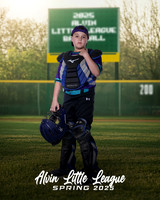 MINORS_DIAMONDACKS_10U_Wallis_Aiden_CAM13843_SIGN