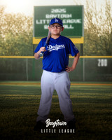 M1_Dodgers_Molina_Aaron_BAY29029_SIGN