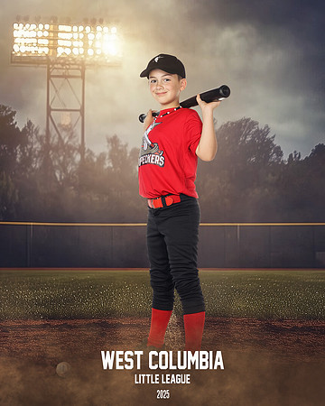 JR MINOR WOODPECKERS_Thomas_Hudson_WC010983_FIELD LIGHTS_