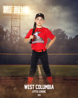 JR MINOR WOODPECKERS_Thomas_Hudson_WC010982_FIELD LIGHTS_