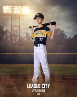 CAM17565-2_FIELD LIGHTS_