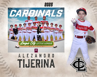 AAA.Lutz.Cardinals_Tijerina_Alezandro_143A1973_MM_MM