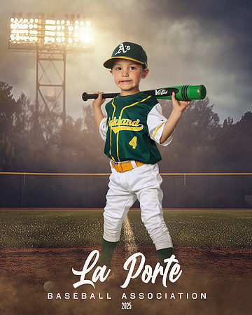 4U_Foal_Athletics_Alanis_Luka_LP010718_FIELDLIGHTS