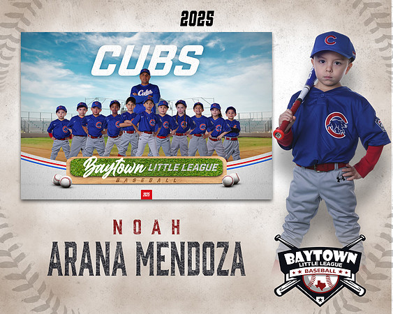 M3_ Cubs_Arana Mendoza_NOAH_BAY12260_MM