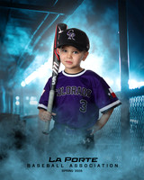 4U_Foal_Rockies_Shearfield_Carver_LP010171_DUGOUT