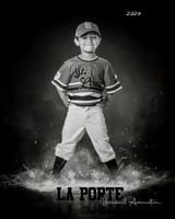 4U_Foal_Cardinals_Gonzalez_Alec_LP022613_ROF_BW