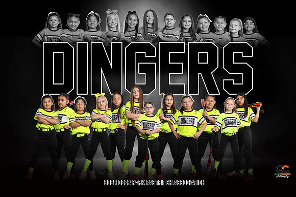 DINGERS BANNER