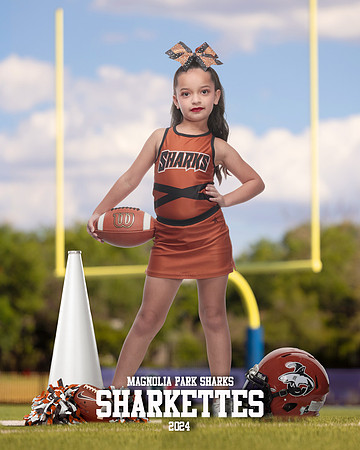 DRILL_Mendez_Miranda_IMGL0462_GOAL POST_