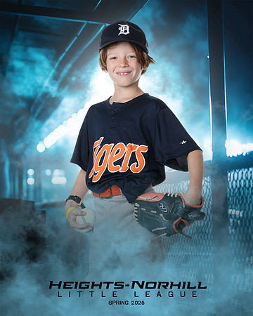 PW_TIGERS_George_Theodore_HN010171_DUGOUT