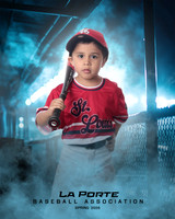 4U_Foal_Cardinals_Chavez_Zed_LP022529_DUGOUT