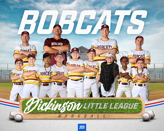 CP8_BOBCATS_Tackaberry_Robert
