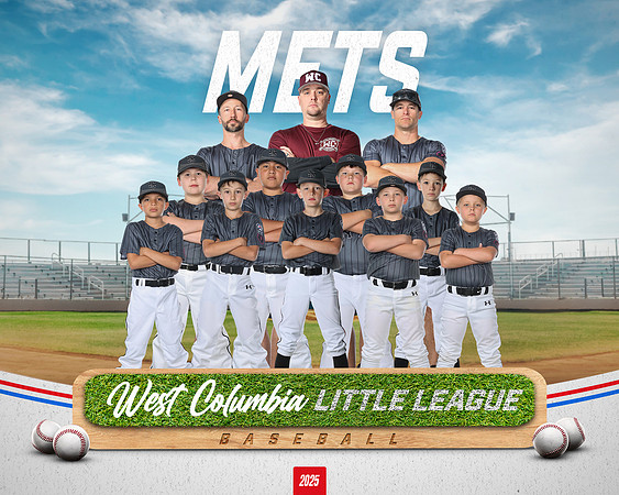 MINORS METS_Duchaney_Desmond