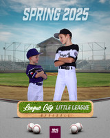 AAA.Bales.WhiteSox_Walters_Carter_143A1136_MULTI_2