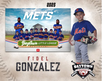 M2_ Mets_Gonzalez_Fidel_BAY12754_MM