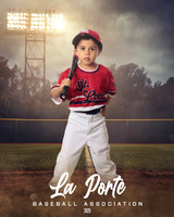 4U_Foal_Cardinals_Chavez_Zed_LP022529_FIELDLIGHTS