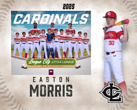 MJR.Powell.Cardinals_Morris_Easton_143A1841_MM