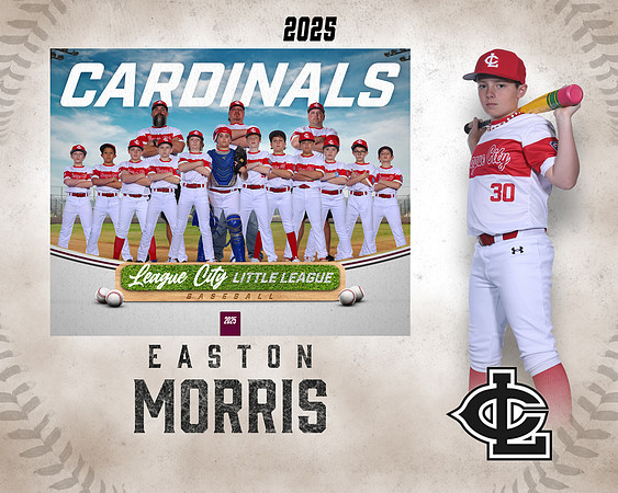 MJR.Powell.Cardinals_Morris_Easton_143A1841_MM