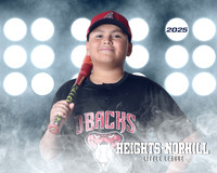MAJORS_DIAMONDBACKS_Salinas_Alexander_HN020892_LIT