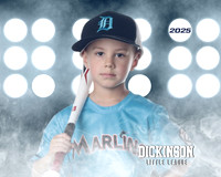 CP5U_ MARLINS_Roberts_Carson_DLL29815_LIT
