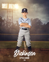 MINORS_IRONPIGS_Suarez_Price_DLL12693_FIELD LIGHTS_