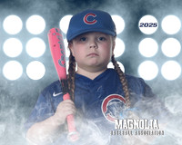 4_5U_Cubs_Alvarado_Freya_MAG26536_LIT