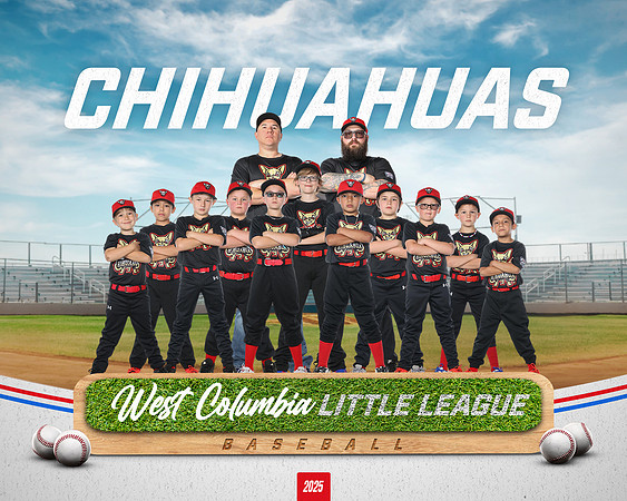 JR MINOR CHIHUAHUAS_Tyk_Weldon