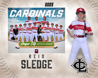 AAA.Lutz.Cardinals_Sledge_Reid_143A1939_MM_MM
