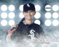 MINORS_WHITESOX_Davis_Emory_HN011116_LIT