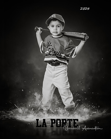4U_Foal_Cardinals_Chavez_Zed_LP022531_ROF_BW