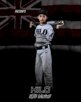 BT_17495_HAWAII_