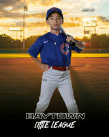 M3_ Cubs_Ramos_Adrian_BAY12236_SUNSHINE