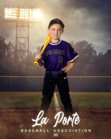 4U_Foal_Rockies_Miller_Braxton_LP010199_FIELDLIGHTS