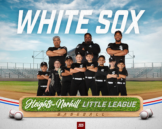 MINORS_WHITESOX_Davis_Emory_TEAMPICTURE
