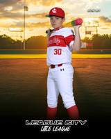 MJR.Powell.Cardinals_Morris_Easton_143A1841_SUNSHINE