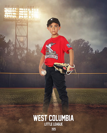 JR MINOR WOODPECKERS_Rios JR_Carlos_WC011006_FIELD LIGHTS_