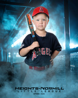 TB_ANGELS_LaVoy_Cameron_HN010655_DUGOUT