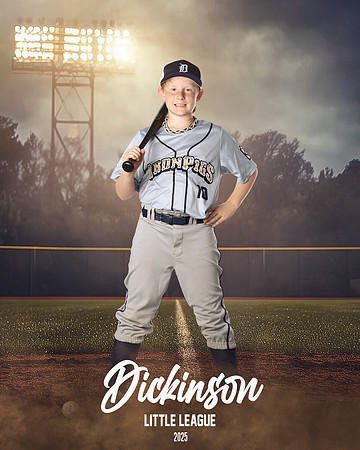 MINORS_IRONPIGS_Van Landingham_Wyatt_DLL12718_FIELD LIGHTS_