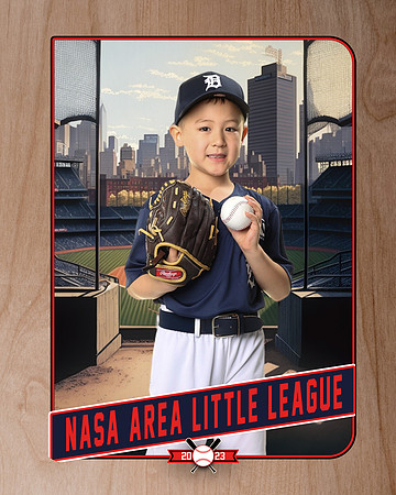 ALL_FILES_Coach_Pitch_Tigers_Donathan_Andrew_NAL12431_RETRO_