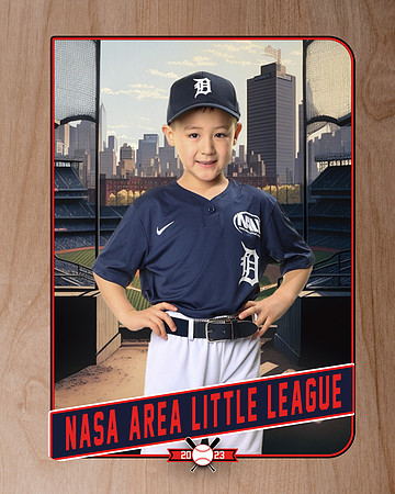 ALL_FILES_Coach_Pitch_Tigers_Donathan_Andrew_NAL12433_RETRO_