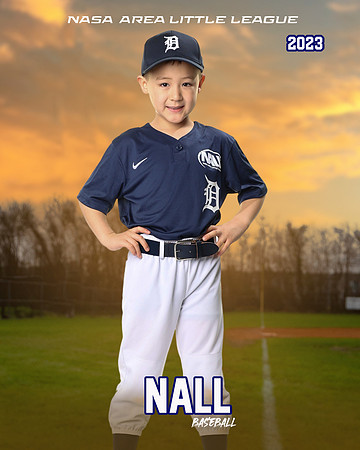ALL_FILES_Coach_Pitch_Tigers_Donathan_Andrew_NAL12433_SUNSET_