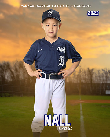 ALL_FILES_Coach_Pitch_Tigers_Donathan_Andrew_NAL12434_SUNSET_