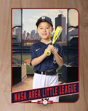 ALL_FILES_Coach_Pitch_Tigers_Donathan_Andrew_NAL12435_RETRO_