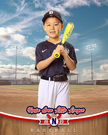 ALL_FILES_Coach_Pitch_Tigers_Donathan_Andrew_NAL12435_BALLPARK_