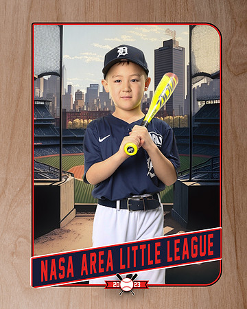 ALL_FILES_Coach_Pitch_Tigers_Donathan_Andrew_NAL12436_RETRO_